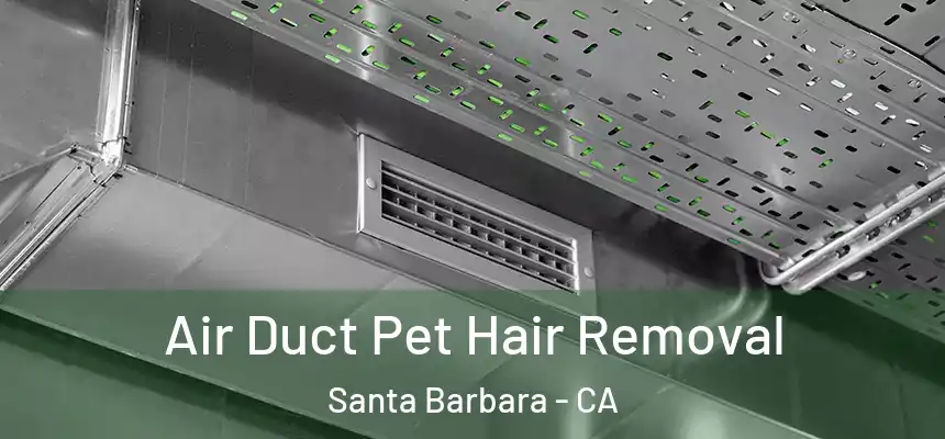 Air Duct Pet Hair Removal Santa Barbara - CA