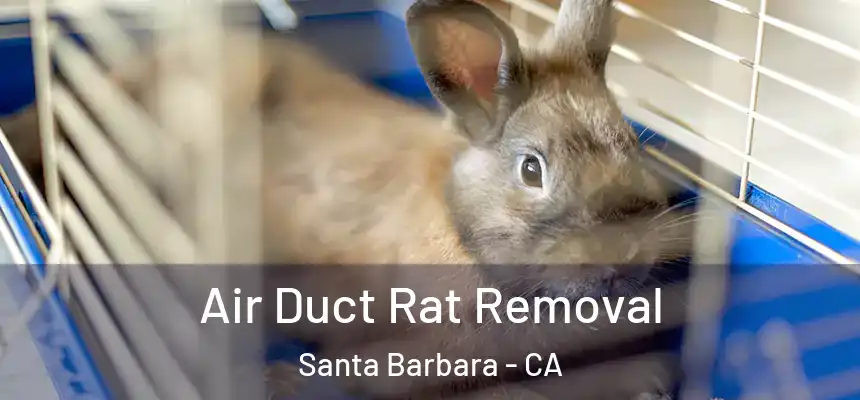 Air Duct Rat Removal Santa Barbara - CA