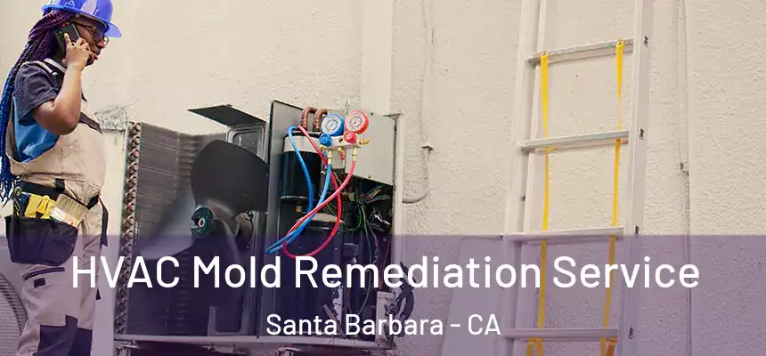 HVAC Mold Remediation Service Santa Barbara - CA