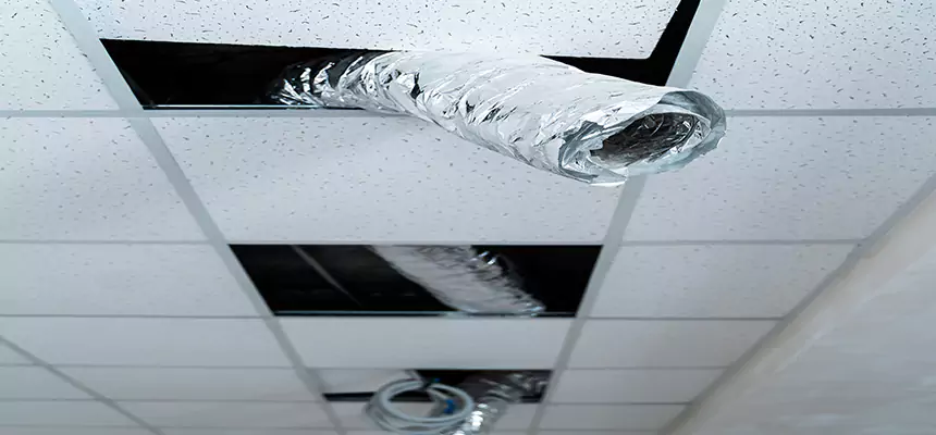 Our Air Duct Pet Hair Removal Services in Santa Barbara, CA