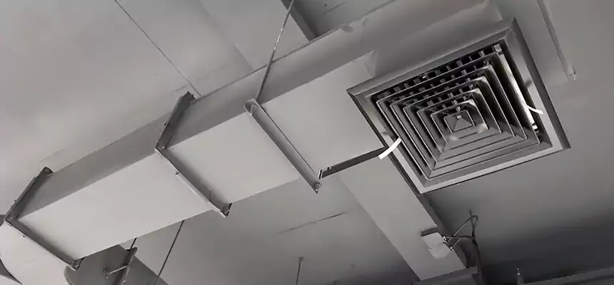 Restorative Allergy Relief Vent Cleaning – Coil, Blower & Housing Detail in Santa Barbara