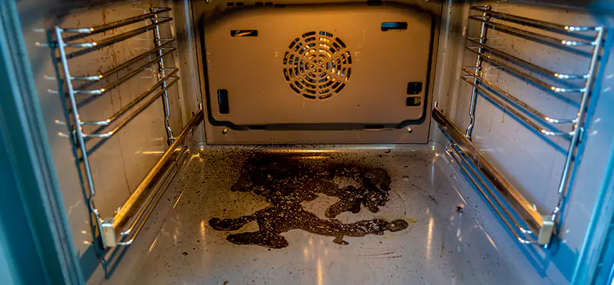 Our Dryer Vent Mold Cleaning Services in Santa Barbara, CA