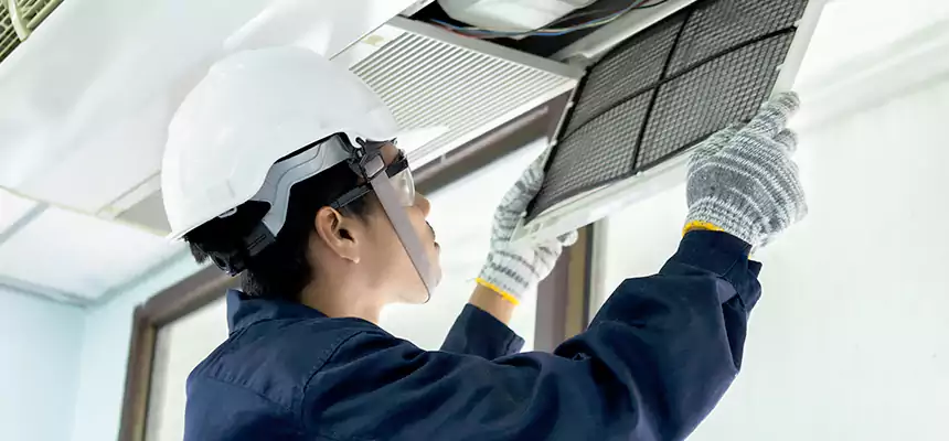 Our Mold & Mildew Removal from Air Ducts Services in Santa Barbara, CA