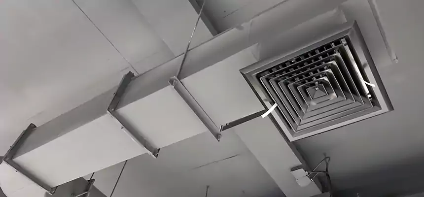 Our Pest Removal From Ducts Services in Santa Barbara, CA