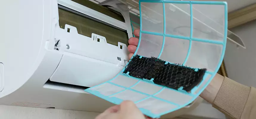 Gentle Ductwork Odor-Control Pet Dander Duct Cleaning in Santa Barbara, CA