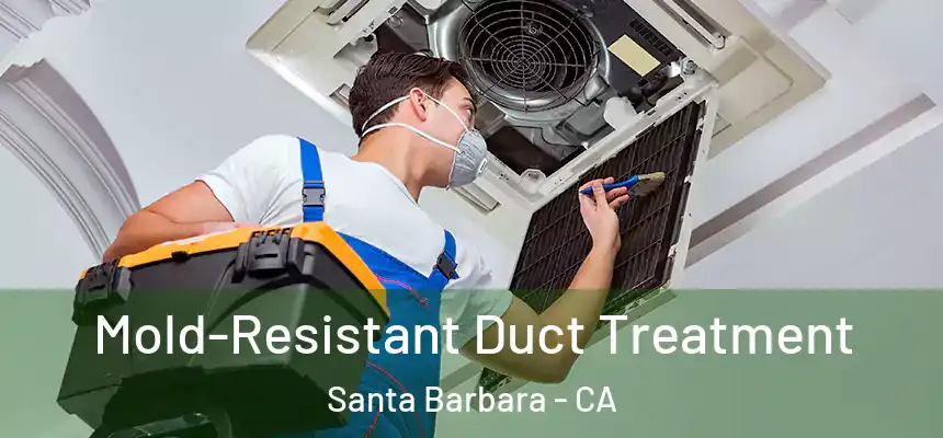 Mold-Resistant Duct Treatment Santa Barbara - CA
