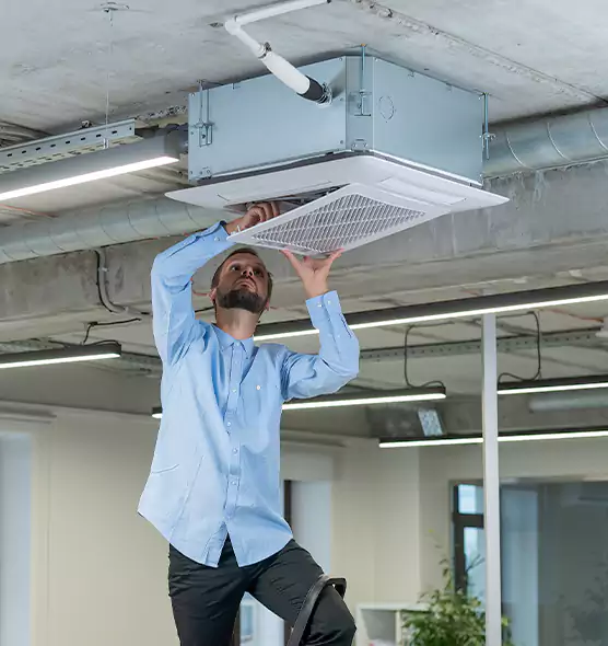 Advanced Rodent Droppings In Vents in Santa Barbara, CA