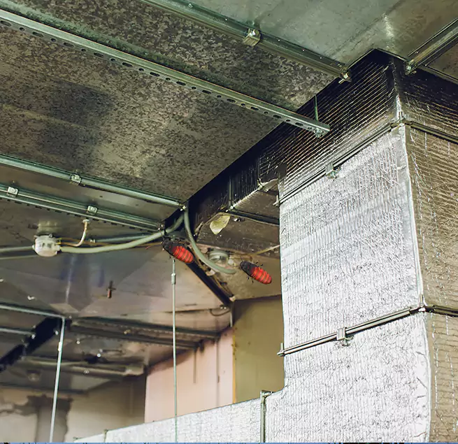 Why Homeowners & Businesses Trust Us in Santa Barbara, CA?