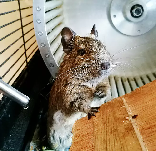 Why Homeowners & Businesses Trust Us Santa Barbara, CA?